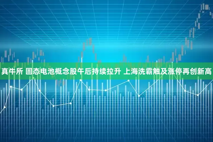 真牛所 固态电池概念股午后持续拉升 上海洗霸触及涨停再创新高